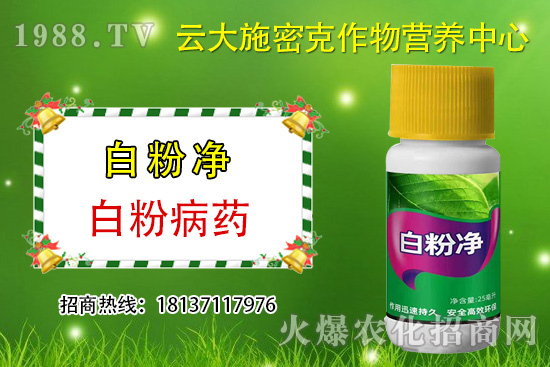 ʲô��ֲ��Դ�r(n��ng)ˎ��ֲ��Դ�r(n��ng)ˎ�c���W(xu��)�r(n��ng)ˎ�^(q��)�e������