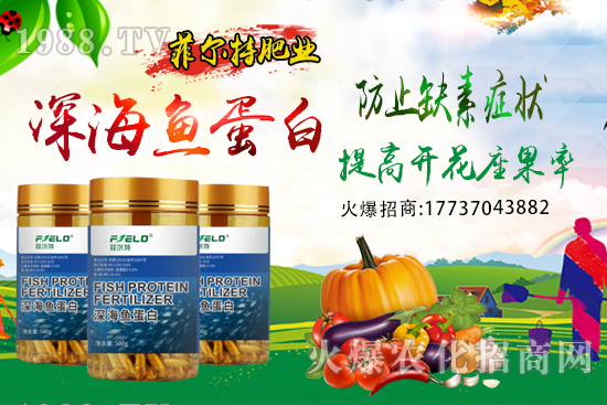 青梗菜種植時間，青梗菜栽培及管理關(guān)鍵要點(diǎn)！