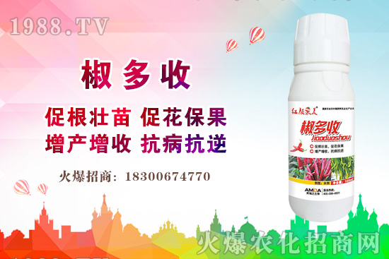 小麥價(jià)格多少錢一斤？2020年后期小麥價(jià)格還會(huì)上漲嗎？