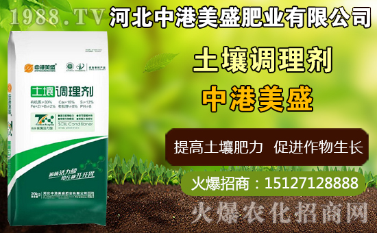 中藥太子參什么時間種植，太子參什么時候收獲更好（附種植技術）