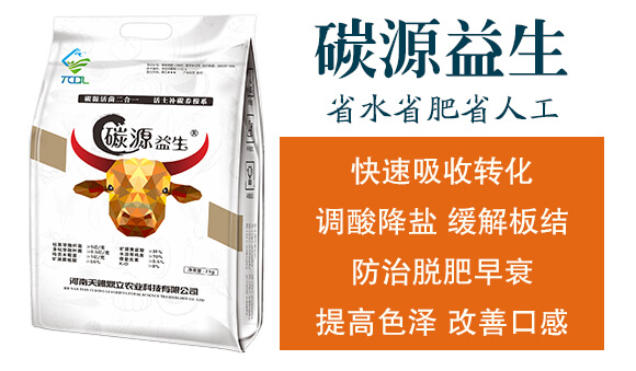 ̼Դ����-���n����_04