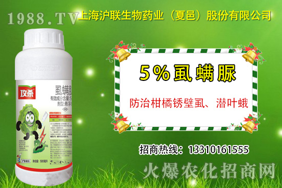 柑橘銹壁虱有什么癥狀？怎么防治？柑橘銹壁虱用藥推薦