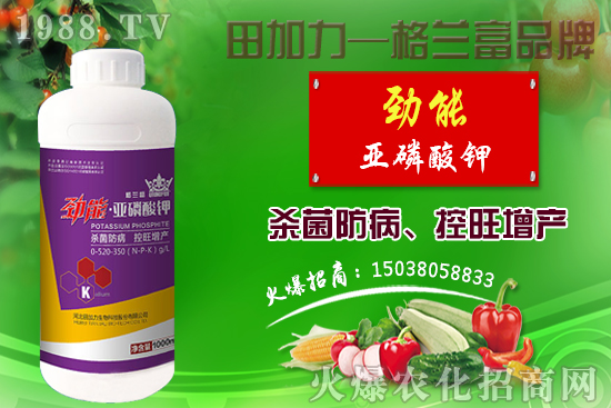 �޻������������ʩ�ʣ��޻�������Լ�ʩ��ԭ�t��