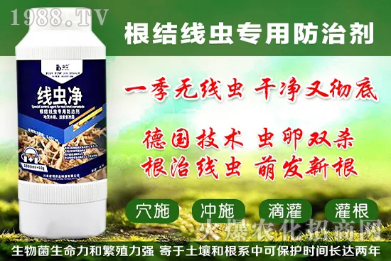 �������״���ʲô���ã��������״���������x����