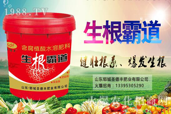 花椒樹種植季節(jié)是什么時候？花椒樹種植技巧有哪些？