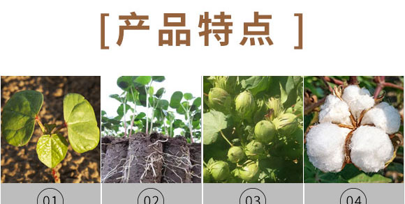 ����Ԫ��ˮ�ܷ�-��⏌�-Ӣ����_05