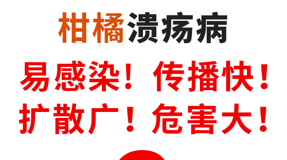 �ݲ�ѿ�ߗU��-һ����-Ӣ����_03