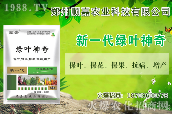 小麥價(jià)格連連上漲！現(xiàn)在一斤多少錢？