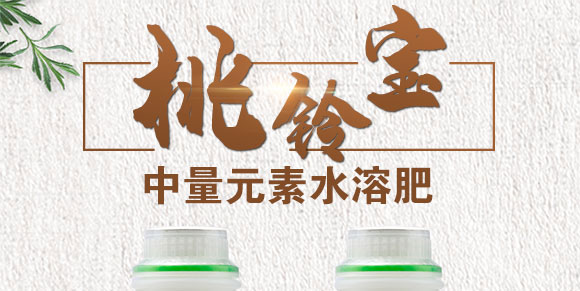 ����Ԫ��ˮ�ܷ�-��⏌�-Ӣ����_01