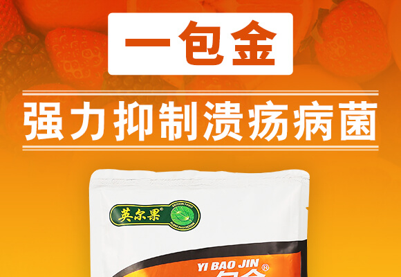 �ݲ�ѿ�ߗU��-һ����-Ӣ����_01