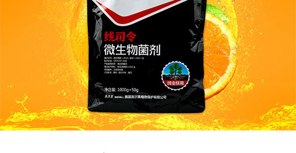 ���x(ch��ng)����΢�������-��˾��-Ӣ����_02