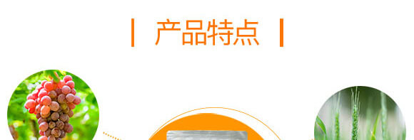 ���x(ch��ng)����΢�������-��˾��-Ӣ����_04