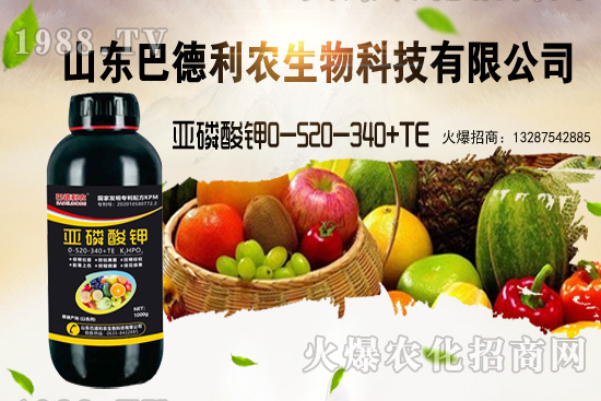 小麥價(jià)格能漲到多少錢一斤？部分地區(qū)價(jià)格行情！