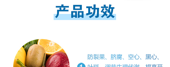 �������}-Ӣ����_06