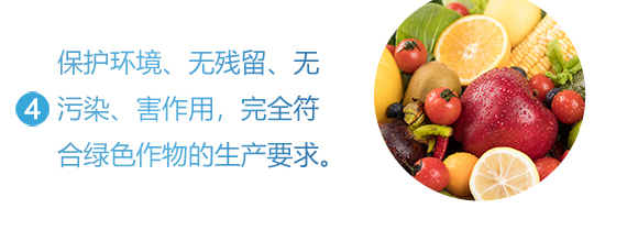 �������}-Ӣ����_09