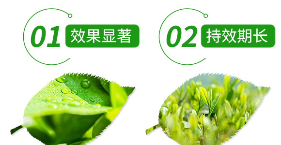 20%���衤������-����-��̖�r(n��ng)�I(y��)_06