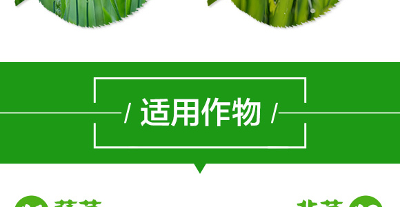 20%���衤������-����-��̖�r(n��ng)�I(y��)_08