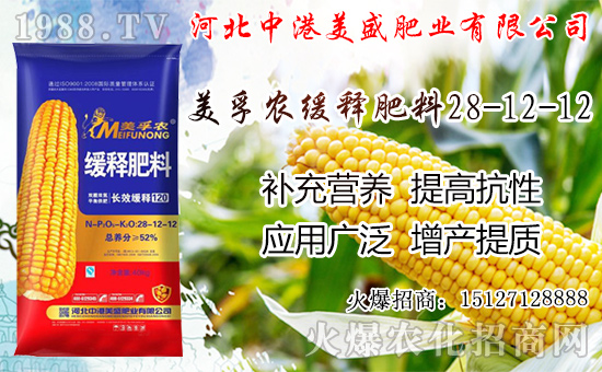 �O���������������ô�������O�������ڼ���ժ�������