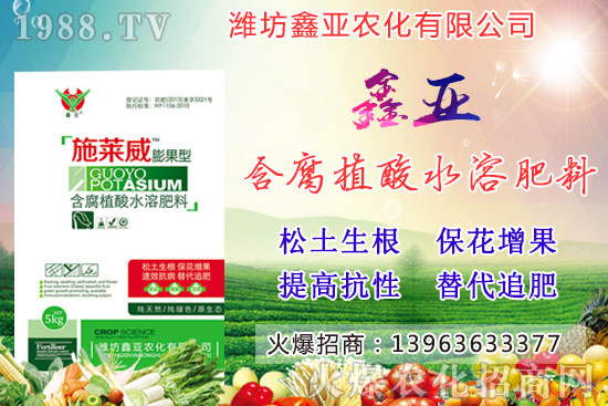 糧食漲價！20209月17日小麥價格行情如何？