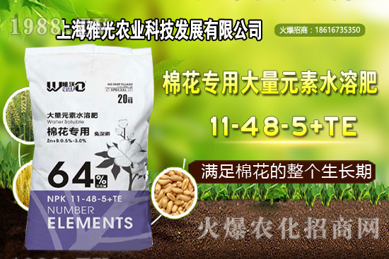 甜椒什么時候種植，甜椒栽培技術(shù)要點！