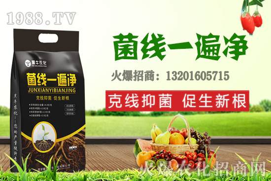 9��19��С���r(ji��)��������q�����F(xi��n)��