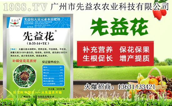 水仙花形態(tài)特征及生長習性，水仙花栽培方法！