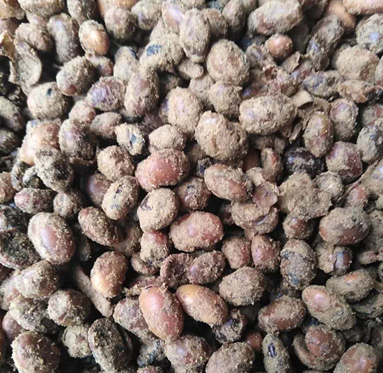 ɽ�|��֮������Ƽ����޹�˾