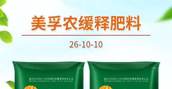�����r��ጷ���26-10-10-�и���ʢ_01