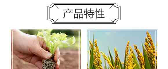 ���S���ЙC(j��)�o(w��)�C(j��)���B(t��i)�ʣ����ߌ��ã�-�и���ʢ_04