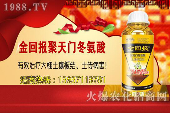 ���w�������cС�w����ɶ��ͬ������ԓ�x��һ�N��