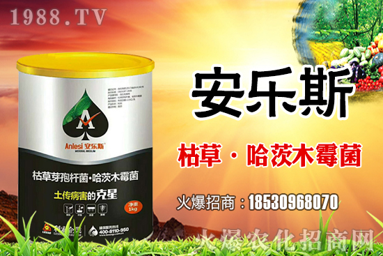 小麥種子是購(gòu)買還是自留？小麥自留種子需要注意哪些內(nèi)容？
