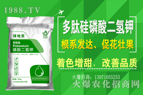 �۲˵ă�(y��u)��Ʒ�N����Щ���۲˷Nֲ���L�h(hu��n)�������Nֲ���g(sh��)��