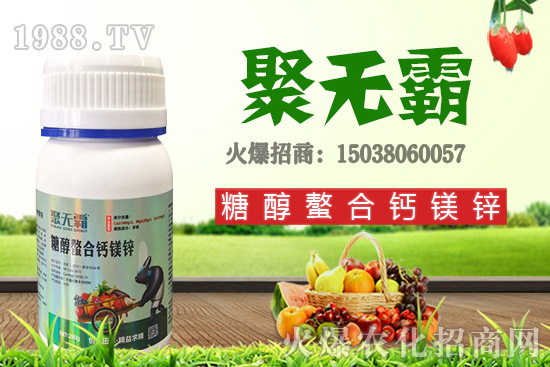 沙糖桔苗多少錢一棵？沙糖桔什么時(shí)候結(jié)果？栽培要點(diǎn)有哪些？