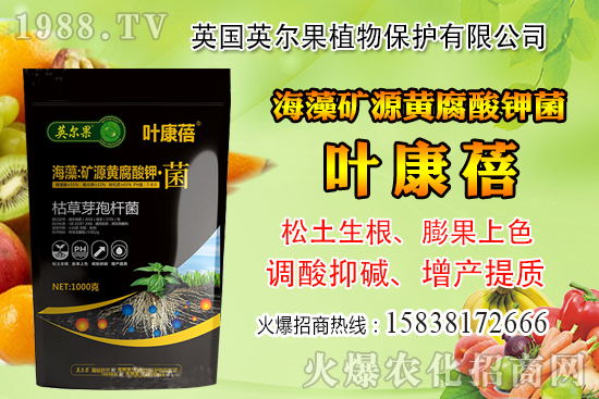 ��ô�Д����׺�ˮ��������������ˮ���й��ж���(j��ng)�(y��n)��