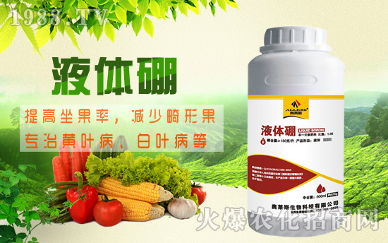 棉花缺硼危害究竟有多大，棉花缺硼癥狀及硼肥施用技術！