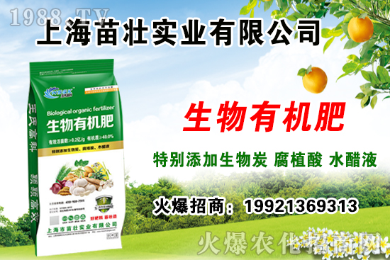 �ЙC(j��)�ʵķN�(l��i)����Щ�����ЙC(j��)�ʵ����ý�B��