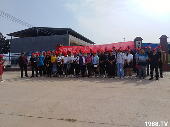 水溶肥市場大變革！？海藻精、魚蛋白將被它代替！1000多用戶鼎力推薦！