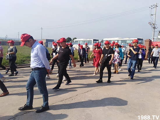 水溶肥市場大變革??？海藻精、魚蛋白將被它代替！1000多用戶鼎力推薦！