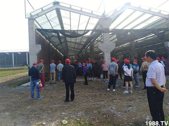 水溶肥市場大變革?。亢Ｔ寰?、魚蛋白將被它代替！1000多用戶鼎力推薦！