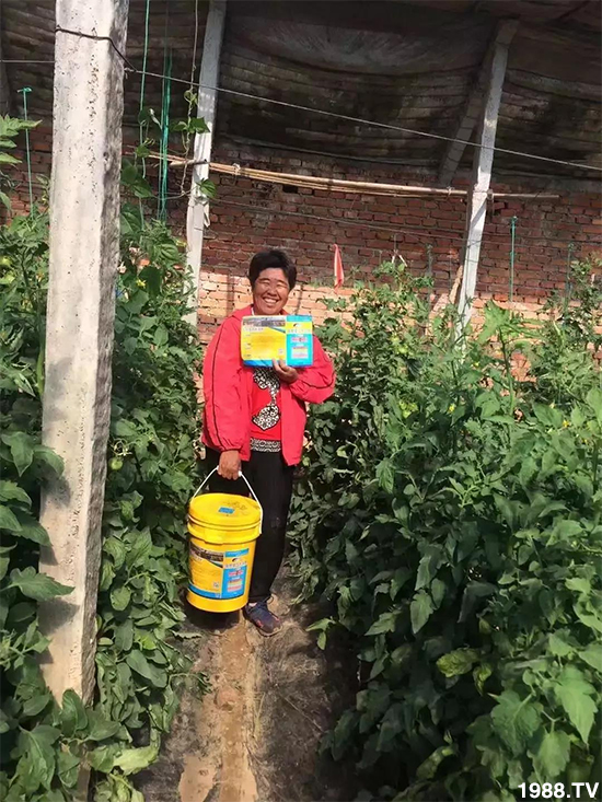 水溶肥市場大變革！？海藻精、魚蛋白將被它代替！1000多用戶鼎力推薦！