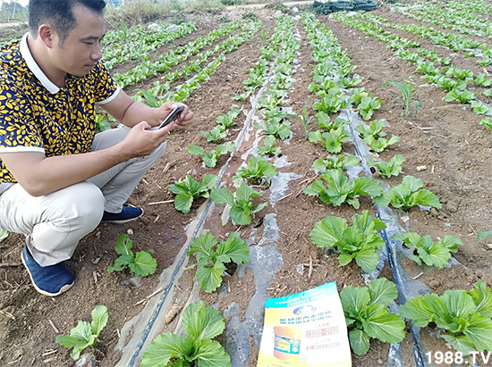水溶肥市場大變革?。亢Ｔ寰?、魚蛋白將被它代替！1000多用戶鼎力推薦！