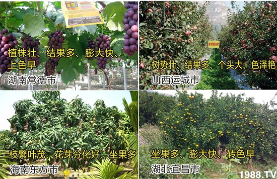 水溶肥市場大變革?。亢Ｔ寰?、魚蛋白將被它代替！1000多用戶鼎力推薦！