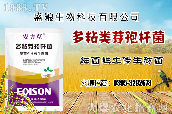 車?yán)遄臃N植環(huán)境要求有哪幾點(diǎn)？車?yán)遄恿挤N選擇及良種套種！