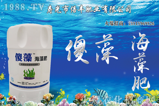 �Ј��𲽻ؚw�������������󶹃r��_�߻��䣡