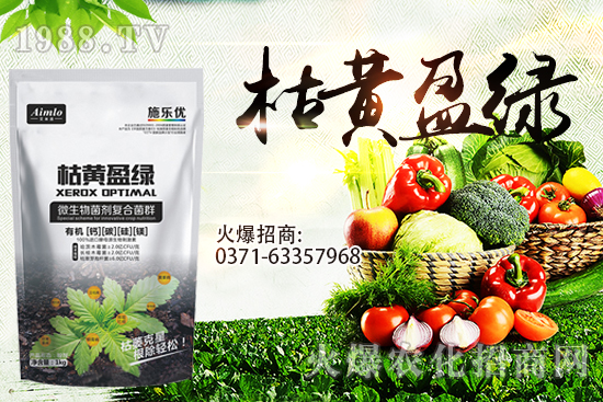 十月即將到來，麥價(jià)能漲多少？9月29日小麥價(jià)格走勢！