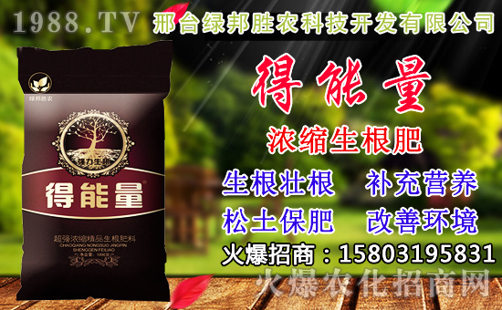 2020年小麥種子如何選？高產(chǎn)小麥品種有哪些？