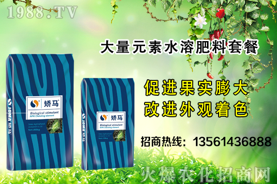 �＾����ʩ�ʵĺ�̎����Щ���＾����ʩ��ָ��(d��o)������