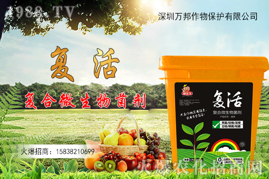 ���������ԷN������M(j��n)�й�������ʲô����Ҫ�c(di��n)��