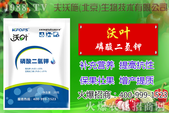 ���t��ժ�~����Щ��̎������ժ�~���g(sh��)��ע�����(xi��ng)��