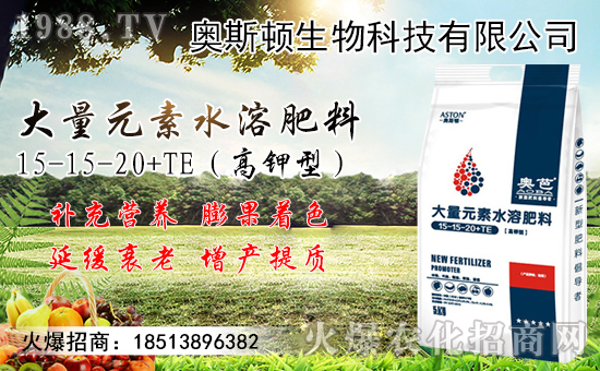 9月小麥?zhǔn)袌鲂星轭A(yù)測！附近期小麥?zhǔn)召弮r(jià)格！